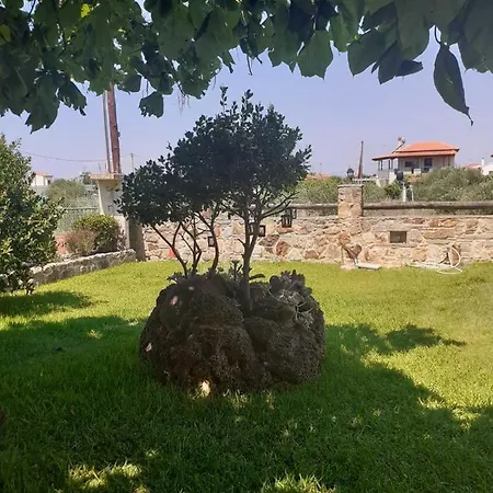 Villa Thodis Villa's Kariani